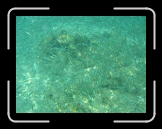 Tortola 223 * 2048 x 1536 * (1.69MB)